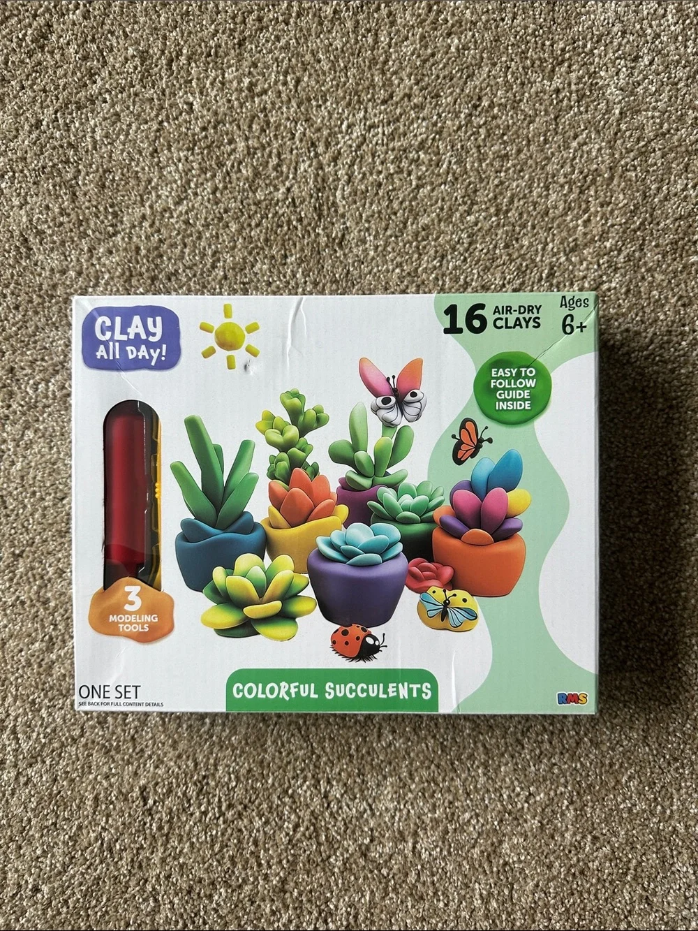 “Clay all day!” Succulents set